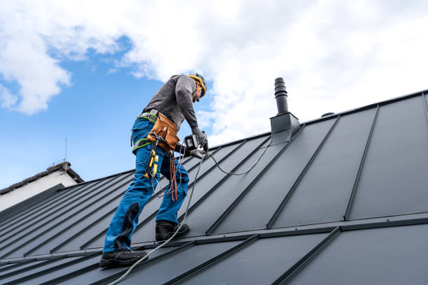 Best Roof Waterproofing  in Tracy, MN